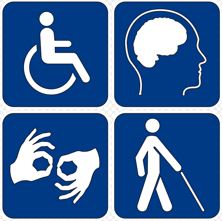 Inclusion / Handicap