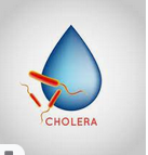 Qu'est-ce que le choléra ? | AFP Animé, AFP - 2 :09 min